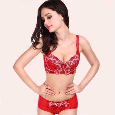 Damen Büstenhaltersatz Unterwäsche Damen 32 40 d Spitzen push up BH Damen Sticken plus Size BH und Höschen