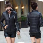 im Herbst Jacke Damen stehen Kragen lange Ärmel kurzen absatz Dünne und leichte Jacke weibliche Mantel Grosse meter Frau