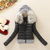 cwlsp Winter Verdickung mit Kapuze kurze Design wadded Jacke hohe Pelzkragen DaunenJacke Baumwolle ausgestopften Fell