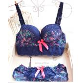 neuzugang Prinzessin Stil süß gedruckt Spitzen schneiden push up sexy drahtLose Damen Büstenhaltersatz einstellbare