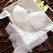 Mode Spitzen BH hat einen Tiefen v Neck sexy push up BH hat 6 Farben Damen BH Set gehören BHs und Höschen