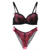 heißes Verkauf sexy Damen BH und tanga sexy Spitzen b c Körbchen push up BH hat Höschen und BH hat