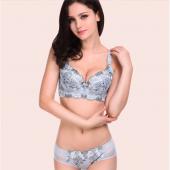 Damen Büstenhaltersatz Unterwäsche Damen 32 40 d Spitzen push up BH Damen Sticken plus Size BH und Höschen