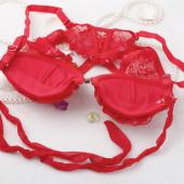 Mode sexy Damen BH Setzt Spitzen Rose Schliessung Halter Hals Drücken die Unterwäsche slips dessous mit Rosa Rot