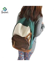 Neue angekommene beiläufige Damen bunte leinwand Plaid Rucksäcke damekursteilnehmer Schultaschen reise