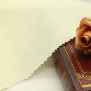 CVC plain edge polyester 21S* 21S 64* 62 in stock